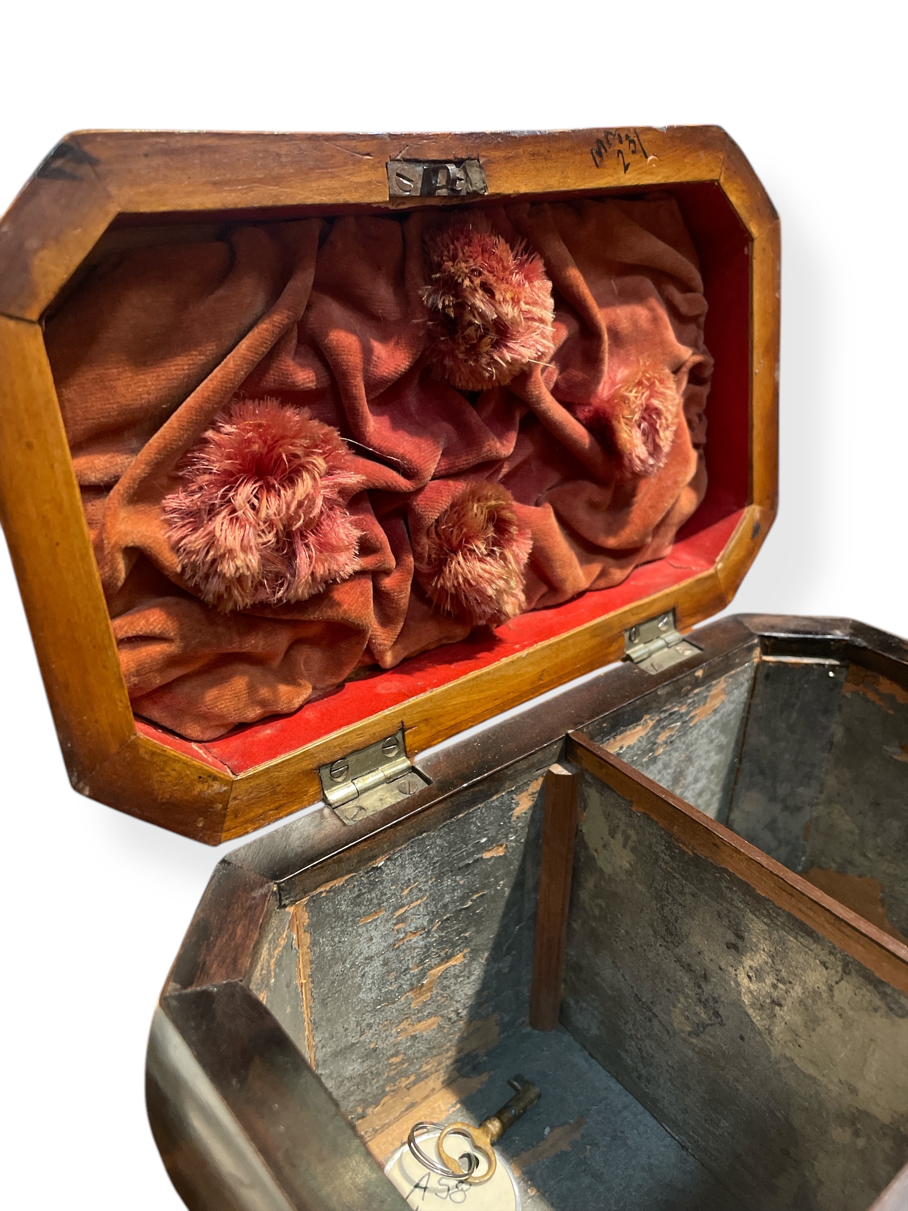 English Regency ebony wood tea caddy