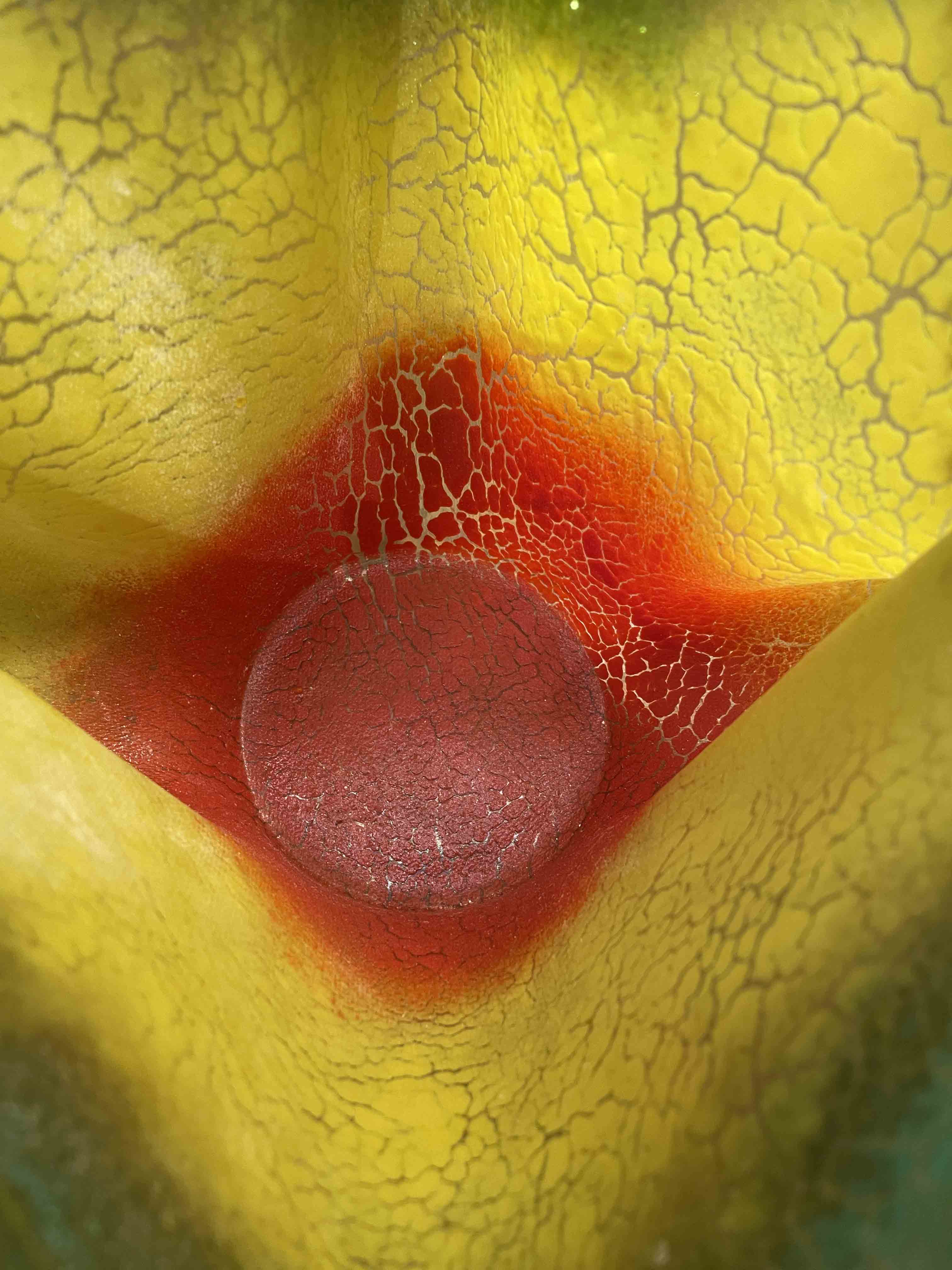 American Art Glass vase by Dale Patrick Chihuly