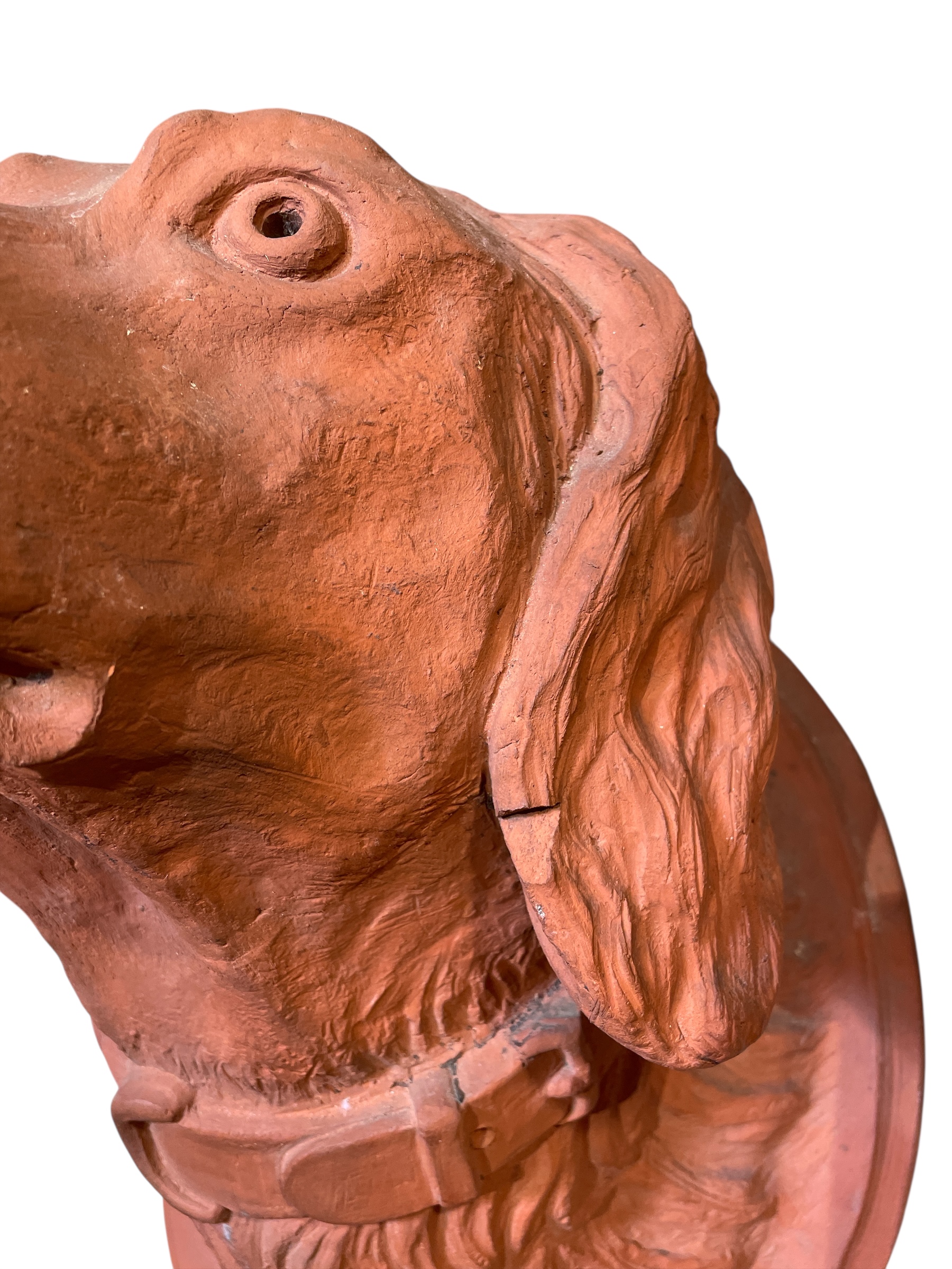 Terra cotta dog head on oval rondel