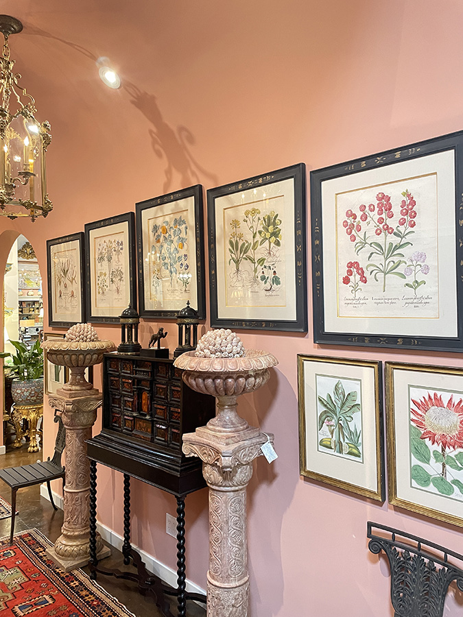 Five Basilus Besler botanical engravings