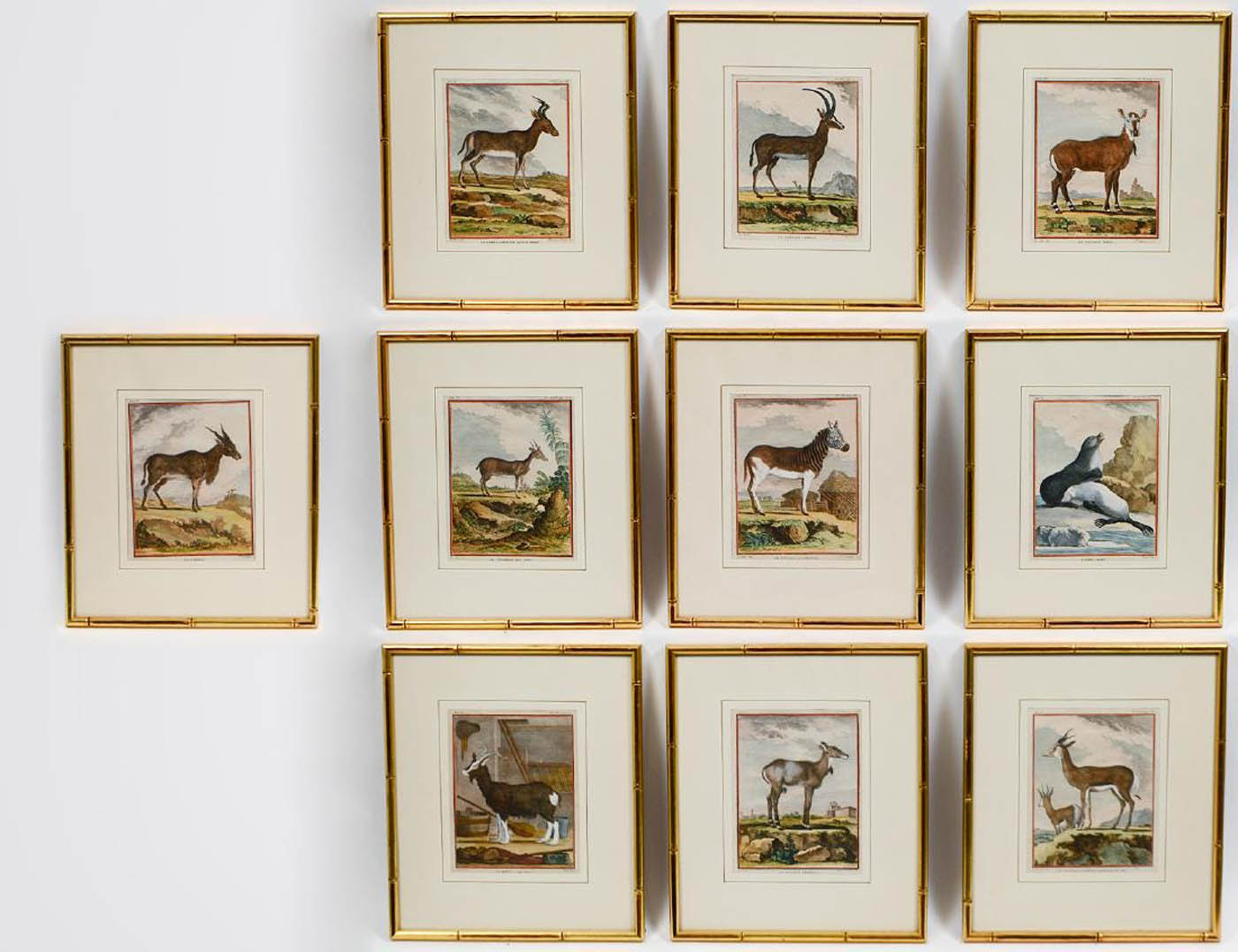 Ten copper engravings, 19th C